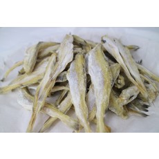 [전화문의] 중노가리 350g 1kg