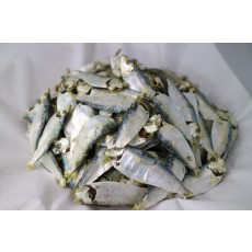[전화문의] 국산디포리 350g 1kg 1.5kg